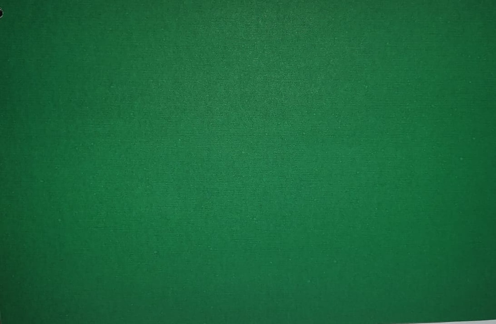 (Loose)Dark Green Pastel 22x28 150 Gsm