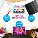 Epson Ink 008 Black 127ml (Original Bottle)