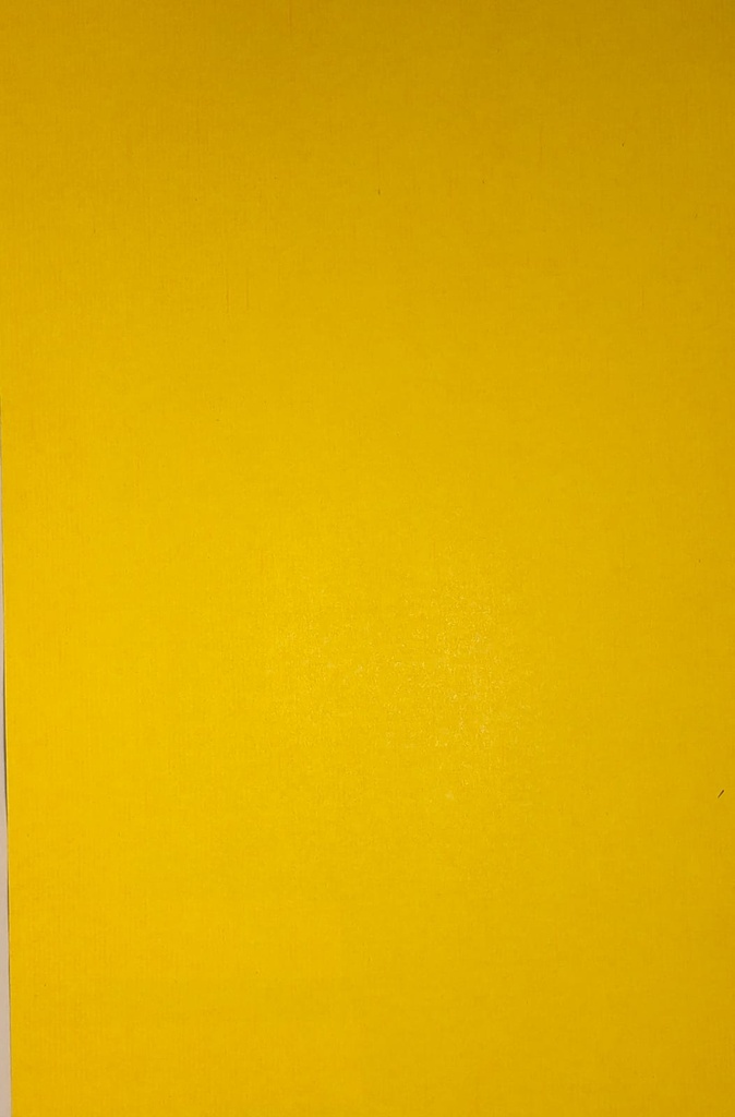 (Loose)Golden Yellow Pastel 22x28 150 Gsm