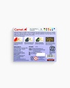 Camel Oil Pastels 12 Shades