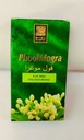 Phool Mogra Roll-on Attar 6ml