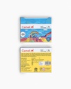 Camel Wax Crayons Assorted 24 Shades