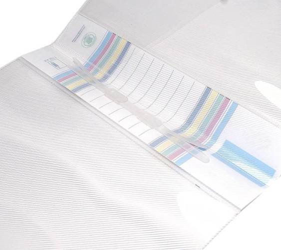 Redking Plastic Transparent Report File FS Legal (Pack Of 10)