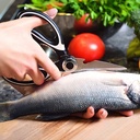 Infinity Kitchen Scissors (INF-SC046)