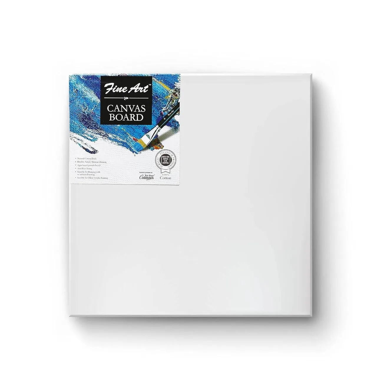 Fevicryl Fine Art Canvas Board 10x12 for Painting