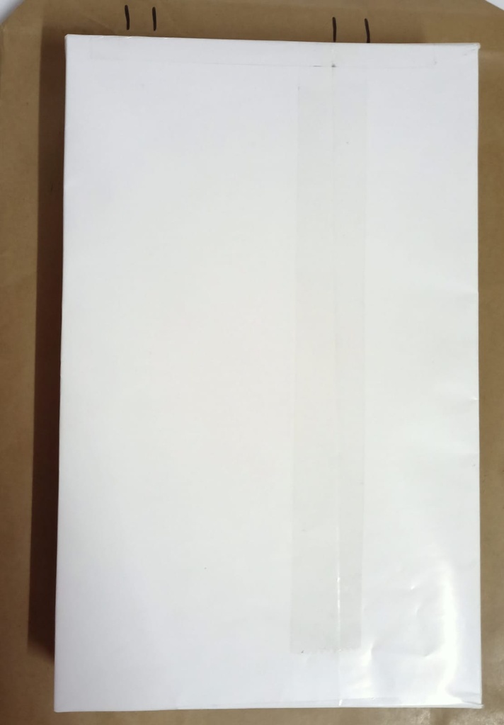 Redking White Plain Paper FS 100 Gsm-Pack Of 500