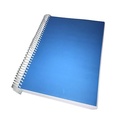 A3 Bottom Blue Spiral SheetXXX