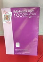 Redking A4 100 Gsm 3.1 Kg (B4)