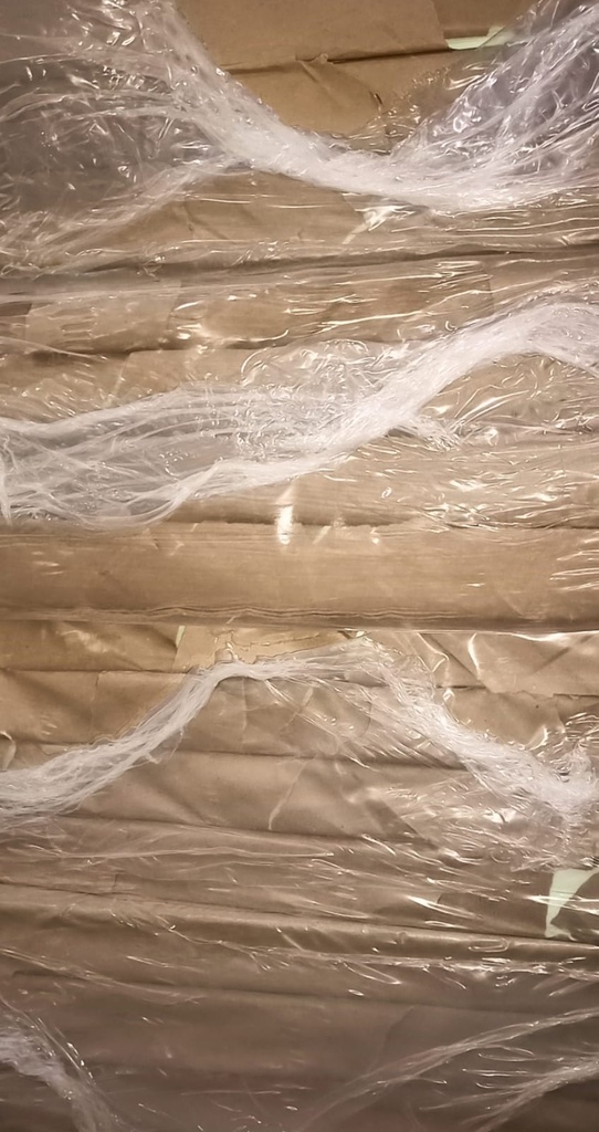 WestCoast Ledger 17x27 11.9 Kg 80 Gsm (B4)