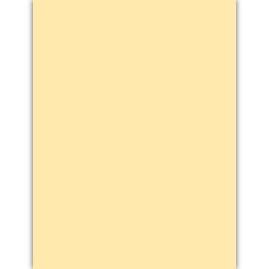(Loose) JK Lucky Parchment Buff 23x36 26.6 Kg