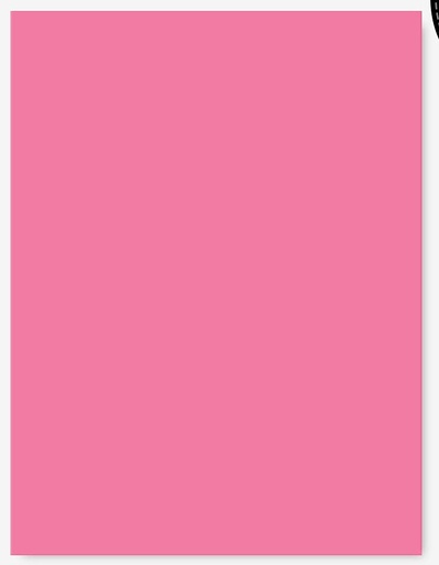[L1374] (Loose)Westcoast 22x28 17.2 Kg Pink