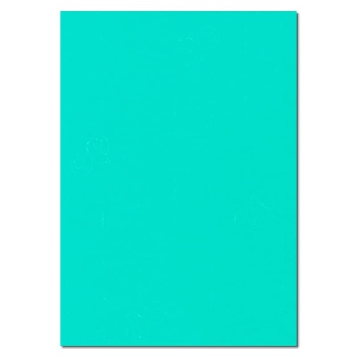 [L1410] (Loose)Westcoast Title 20x30 Green